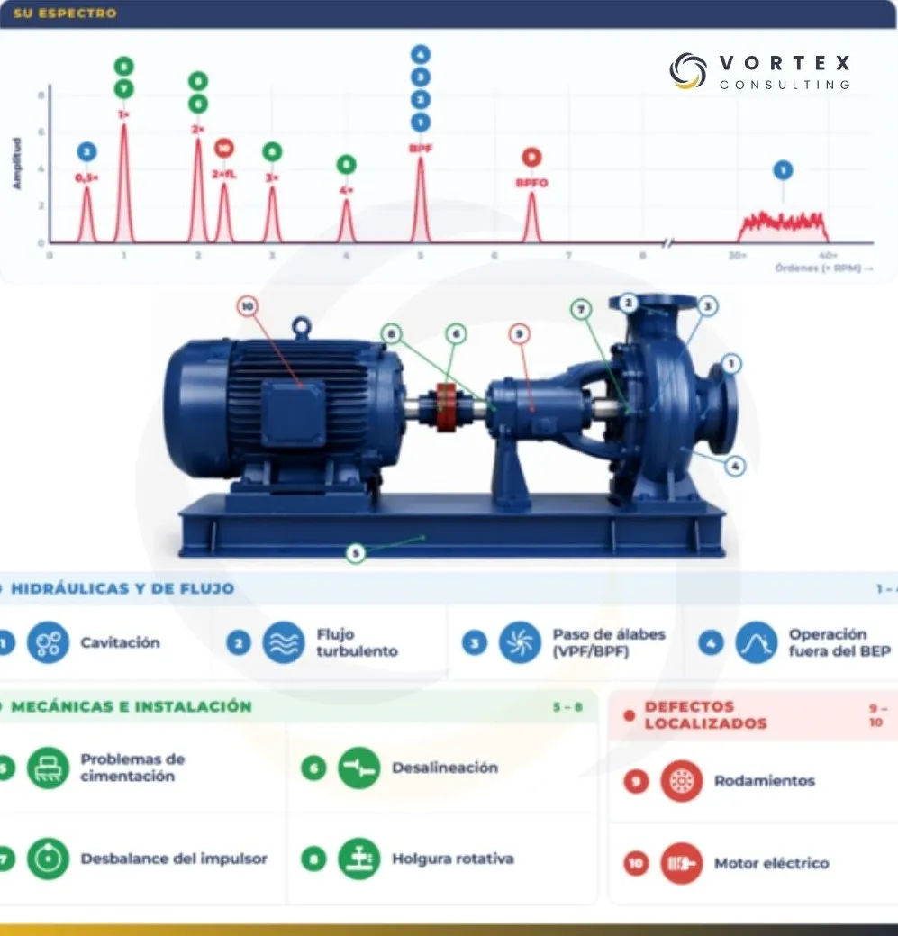Infografía de las principales fuentes de vibración en bombas centrífugas y su representación en el espectro de vibración